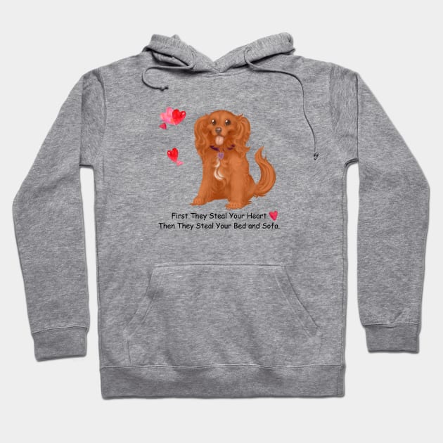 My Ruby Cavalier King Charles Spaniel Stole My Heart, Then My Bed and Sofa. Hoodie by Cavalier Gifts